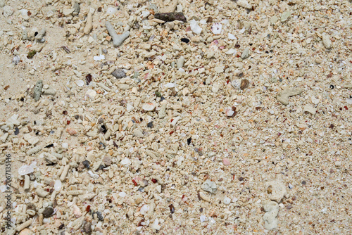 Coral Sand Texture with Shell Fragments and Pebbles Natural Beach Background