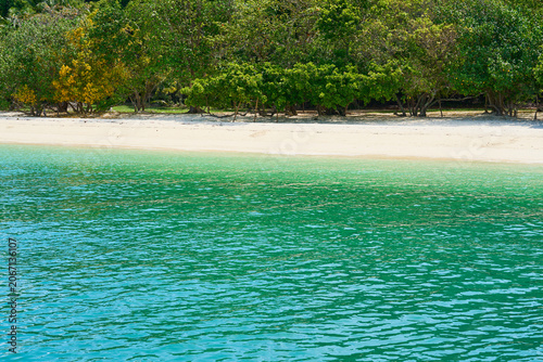Clear Turquoise Water Along Sandy Tropical Shoreline with Lush Green Coastal Forest