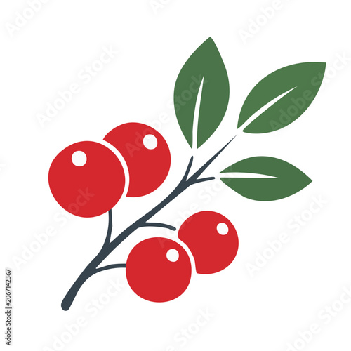 Flat design holly berries and leaves icon
