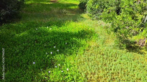 John Chesnut Sr park close to Lake Tarpon. Lake Tarpon is the largest freshwater lake in the Tampa Bay area, covering over 2,500 acres. Located in Pinellas County near Tarpon Springs and Palm Harbor