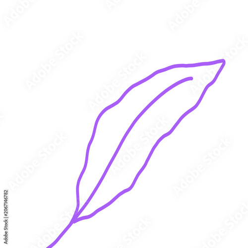 single leaf with violet outline illustration graphic art