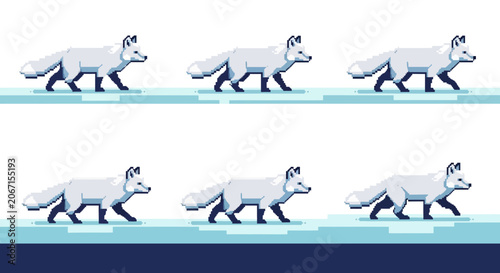 Badger Walking on Water.