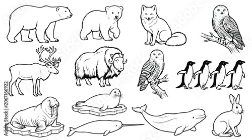 Tableau sur toile Arctic animals line art collection, 13 polar wildlife vector icons, black and wh