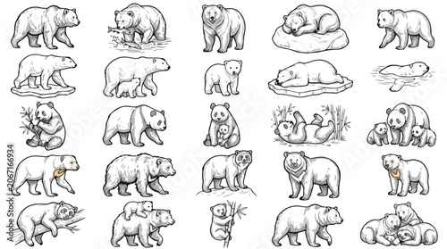 Quadro em tela Vintage bear sketches collection, 25 hand drawn grizzly and polar bear vector ic
