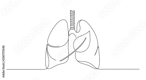 Minimalist Line Art of Lungs with Leaf Symbol - Healthcare and Nature Concept