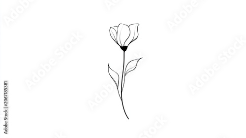 Simple, elegant line drawing depicts a stylized blooming flower with a slender stem and minimal leaves against a pure white background.