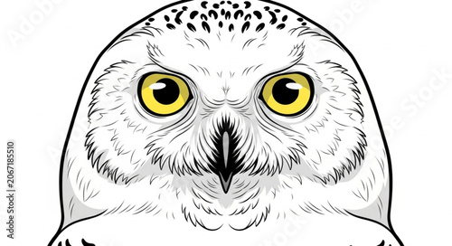 Cute Cartoon Owl Illustration