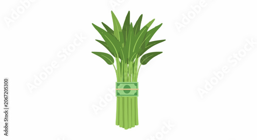 Fresh green lucky bamboo plant with bundled stalks.
