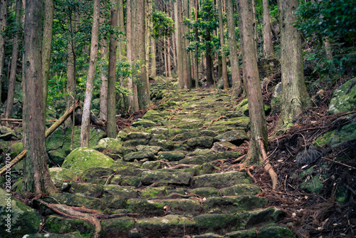 日本風の旅行写真、自然風景と文化歴史
