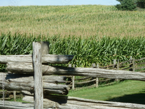 old wooden fence in a field