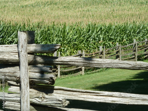 old wooden fence in a corn field