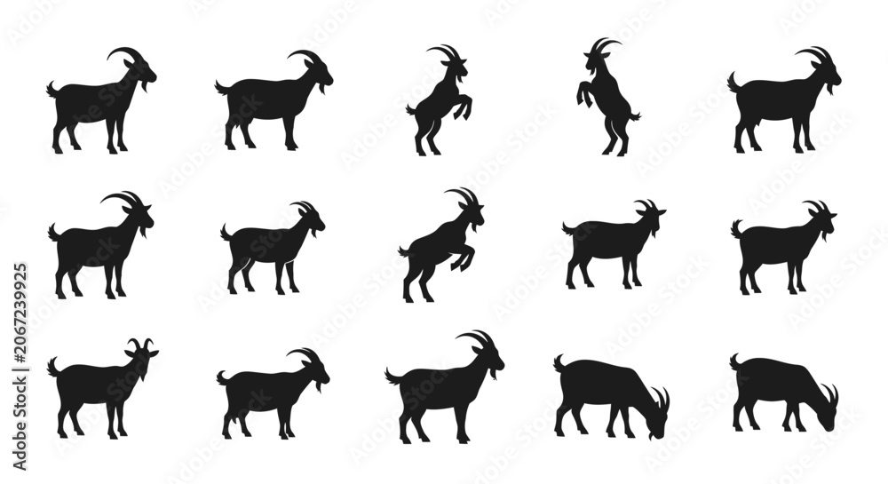 Fototapeta premium A group of goats are standing and jumping in a field.