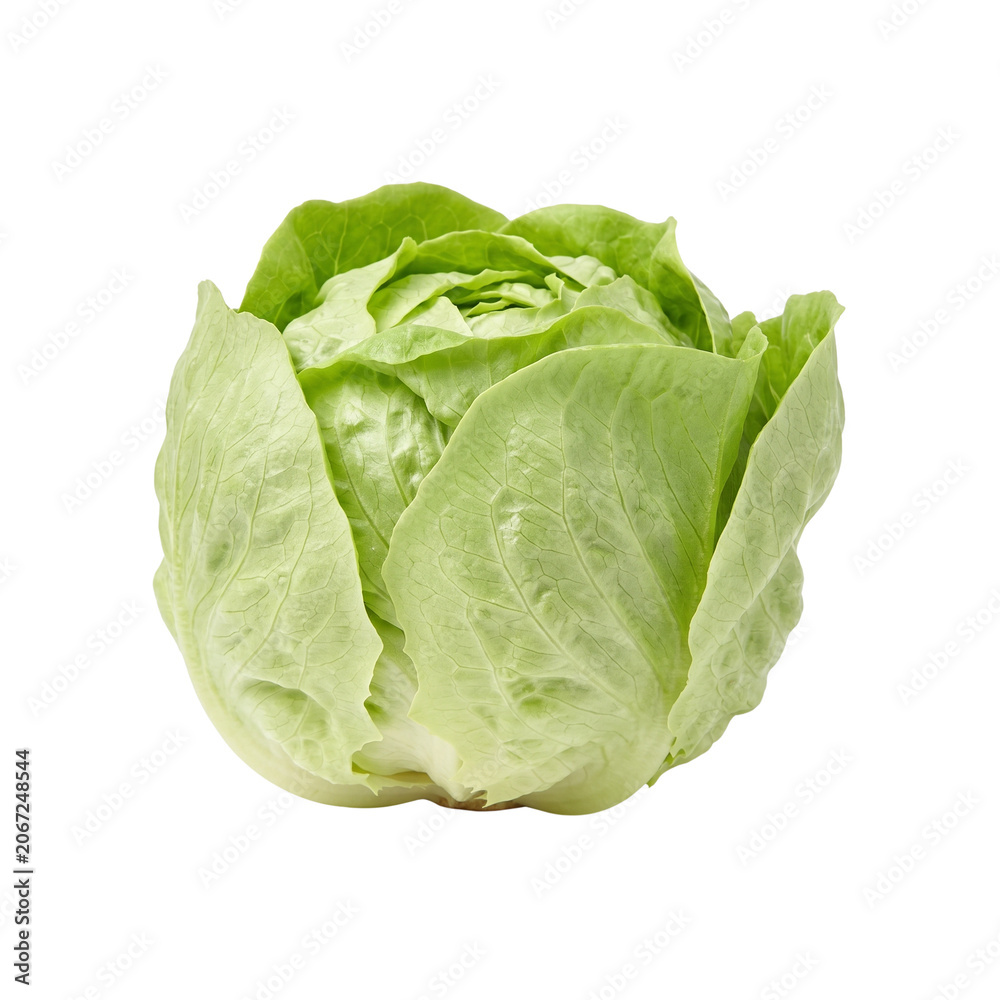 Fototapeta premium Fresh Green Iceberg Lettuce Head Isolated on White Background.