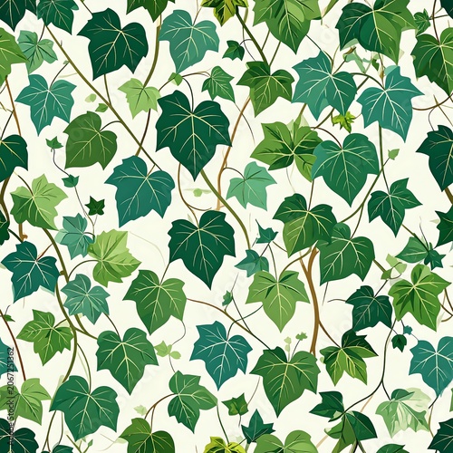 Close up of fresh green ivy leaves on white wall.
