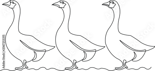 Three geese standing in a row with simple line art outline goose bird