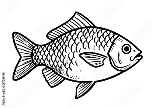 illustration of fish cartoon on white
