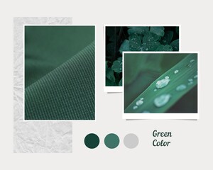 Green Grey Minimalist Mood Boards Photo Collage 