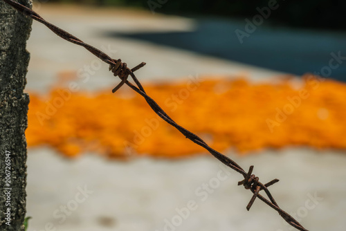 Closeup of a rusty barbed wire strand attached to a rough concrete post