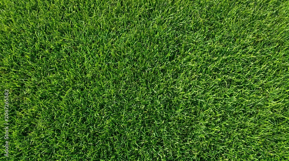 Fototapeta premium Lush green grass texture aerial view vibrant lawn background