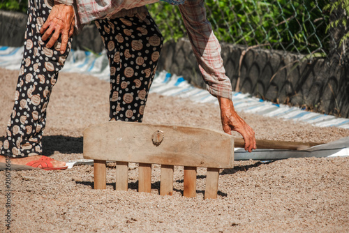 Closeup of a worker using a wooden rake to spread grains on a blue and white striped tarp