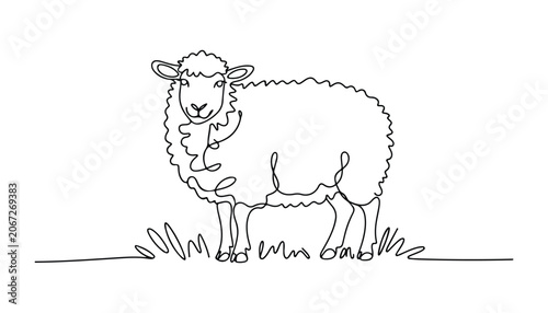 Photos One continuous line illustration of an Sheep animal , isolated on white background