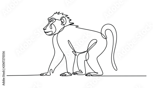 Canvas Print One continuous line illustration of an Mandrill animal , isolated on white background