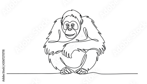 Photography One continuous line illustration of an orangutan animal , isolated on white background