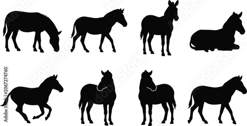 Bild auf Leinwand Horse Silhouette Collection Featuring Grazing Running Standing and Resting Equin