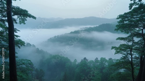 Misty mountains landscape with heavy fog over forest canopy at dawn