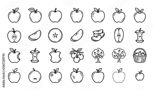 Foto Hand drawn apple illustrations set fruits trees and related elements