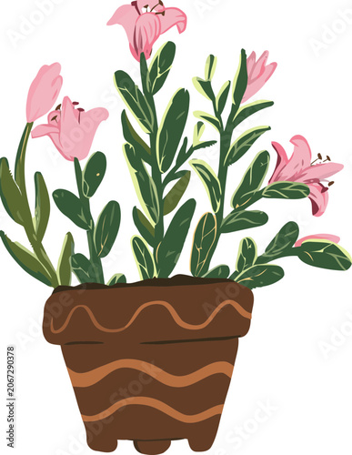 Cuadro en lienzo pink cyclamen in a pot
