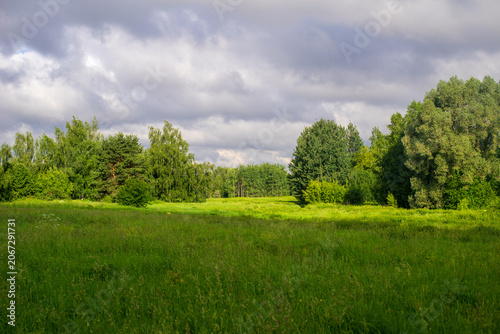 green field and blue sky with clouds