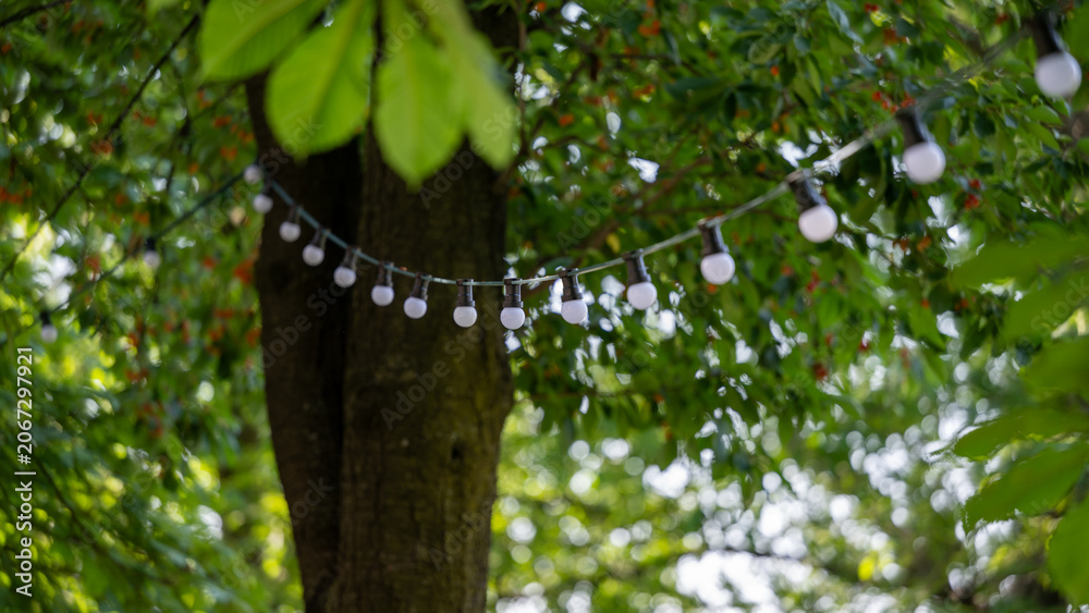 Fototapeta premium Background picture party lights for a garden party
