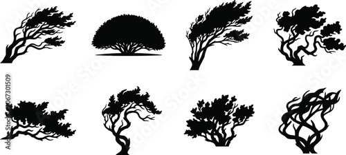 Bild auf Leinwand Artistic Bonsai and Windswept Tree Silhouette Collection with Decorative Landsca