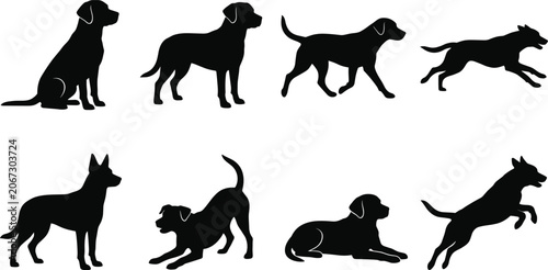 Photos Domestic Dog Silhouette Collection with Sitting Running Playing and Guard Dog Po