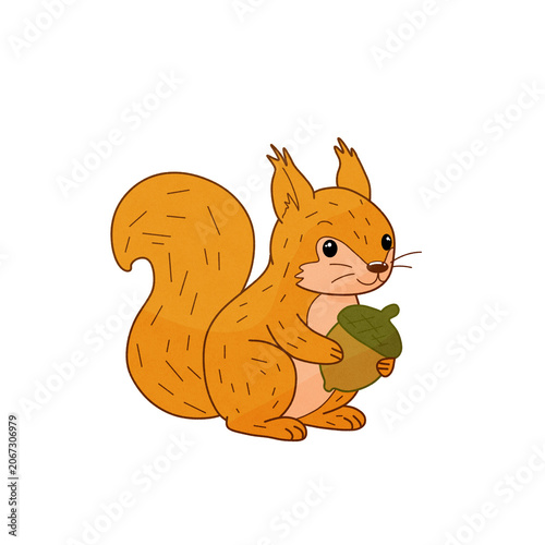 Cute squirrel holding acorn isolated on transparent background woodland animal illustration