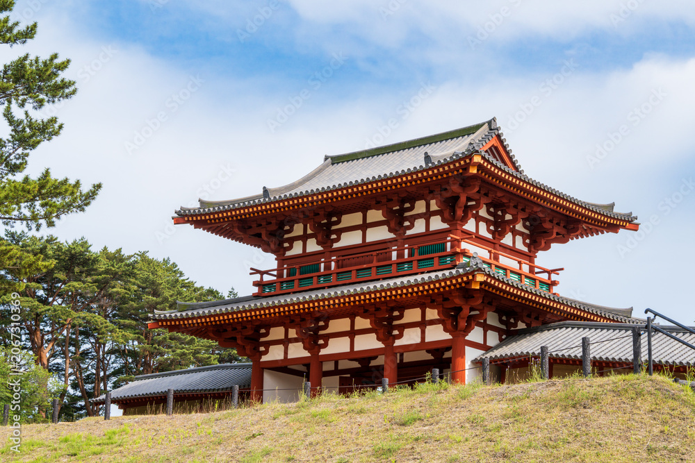 Obraz premium 宮城県多賀城市 多賀城南門