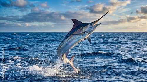 Photo of marlin swordfish leaping from blue ocean sea with splash made by AI generative