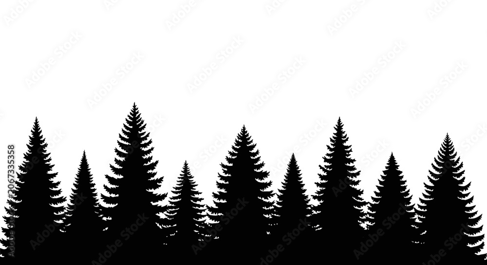 Obraz premium Black silhouettes of pine trees on white background