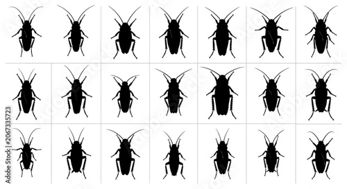 Φωτογραφία Cockroach silhouettes in various poses on white background