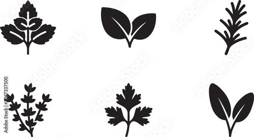 Photos Set of black herb and spice leaf icons representing organic fresh ingredients fo