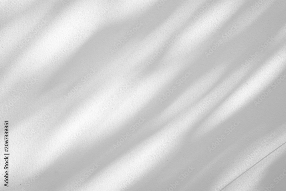 Fototapeta premium Abstract natural tree branch leaves shadow on white wall background