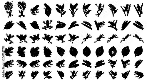 Canvas-taulu Tropical frog silhouette collection, set of 60 amphibian and jungle leaf icons,