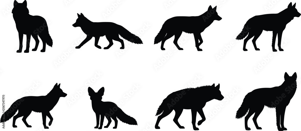 Obraz premium Elegant Collection of Fox and Wolf Silhouettes in Various Poses on White Background