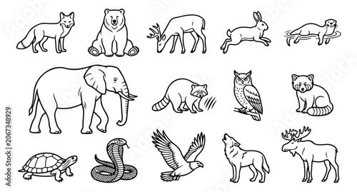 Photography Animals Line Art Vector Megaset - Complete Collection of Wild, Ocean, Farm & Dom