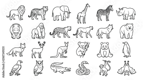 Photography Animals Line Art Vector Megaset - Complete Collection of Wild, Ocean, Farm & Dom