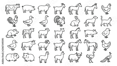 Photography Animals Line Art Vector Megaset - Complete Collection of Wild, Ocean, Farm & Dom