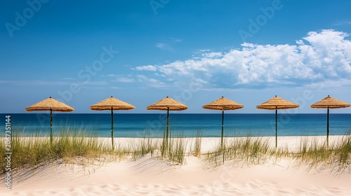 Tropical beach with palm trees under a blue sky by the ocean on a sunny summer day