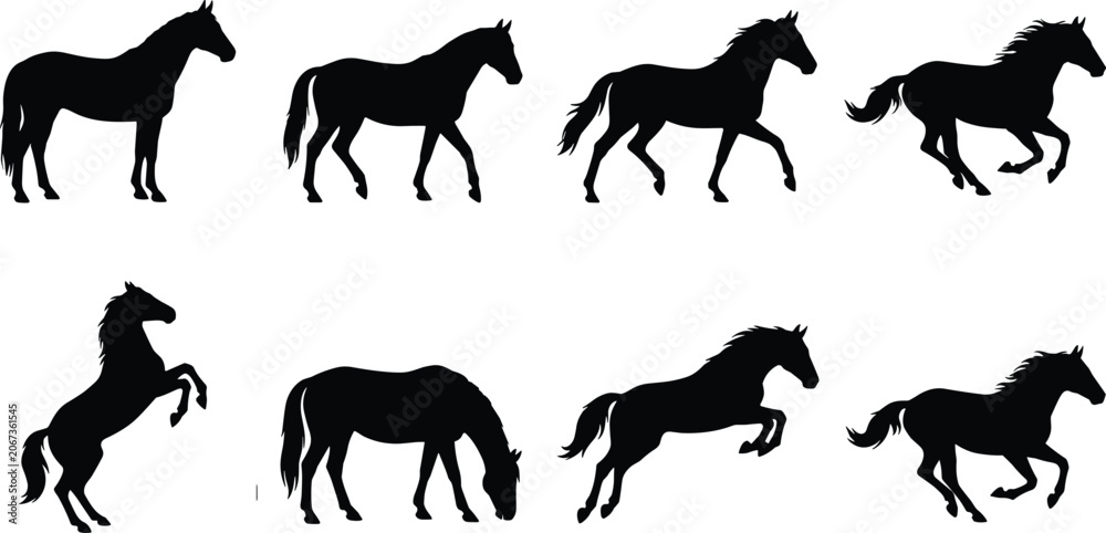 Fototapeta premium Horse Silhouette Collection with Standing Running Grazing and Rearing Equine PosesHorse Silhouette Collection with Standing Running Grazing and Rearing Equine Poses