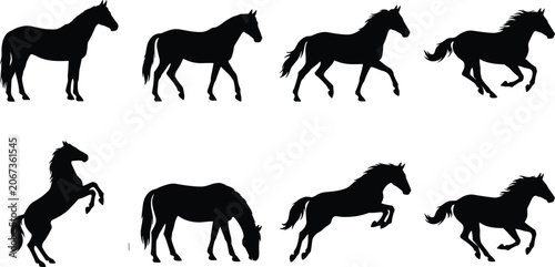 Bild auf Leinwand Horse Silhouette Collection with Standing Running Grazing and Rearing Equine Pos